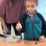 WhatsApp Image 2026-02-10 at 15.16.02