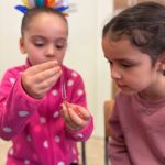 WhatsApp Image 2026-02-10 at 15.22.59 (1)